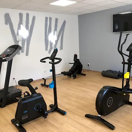 Hotel Ibis Styles Centre Gare Roanne