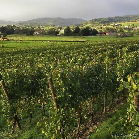 Ibis Styles Centre Gare 3* Roanne