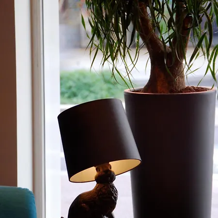 酒店 罗阿纳中央车站宜必思尚品酒店